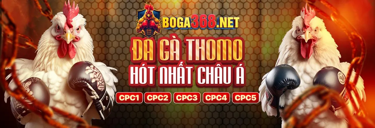 Quy định giao dịch tài chính tại lucky88 hiện đang mở